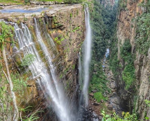 20190301154734_IMG_2409-01