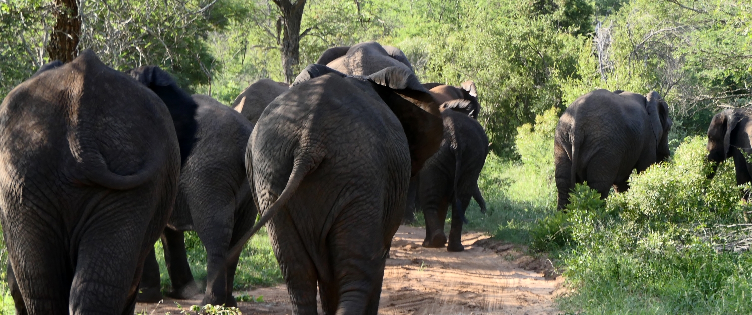 JOUR 15 - PARTIE 2 (22)